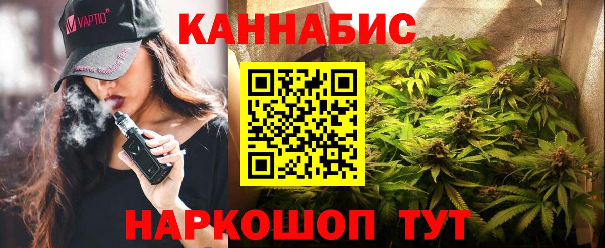 Каннабис сатива Сальск